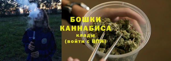 сатива Михайловка