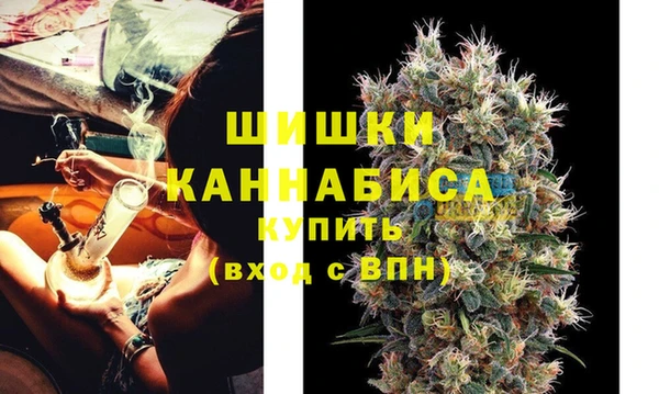 сатива Михайловка