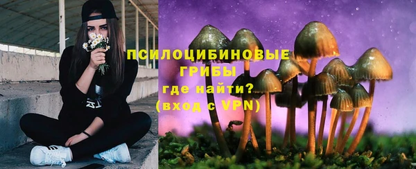 бутират Михайлов